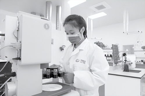 晉向未來 新綠智技術開發(fā)之路