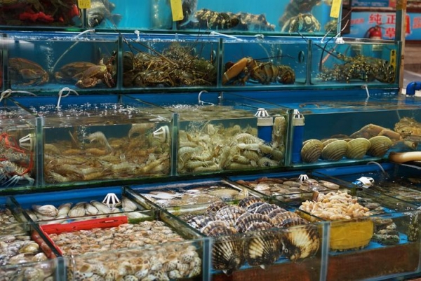 豬價波動與水產(chǎn)品市場聯(lián)動分析