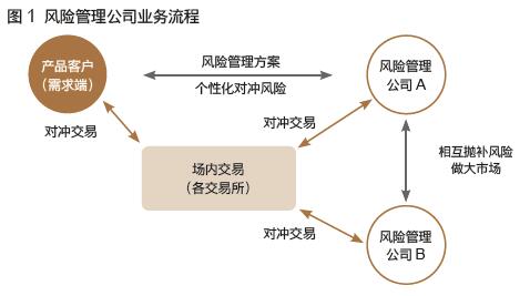 風險管理公司 企業(yè)穩(wěn)健前行的戰(zhàn)略伙伴與風險管理咨詢服務(wù)解析